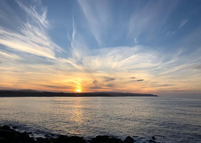 Pines 30 * Scarborough